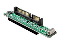Delock Speicher-Controller - 2.5" (6.4 cm)