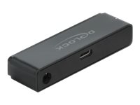 Delock Schnittstellenadapter - 2.5", 3.5" (6.4 cm, 8.9 cm)