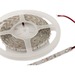 Synergy 21 S21-LED-F00035 Neonröhre 300 Lampen Universal strip light Innen/Außen 5 m