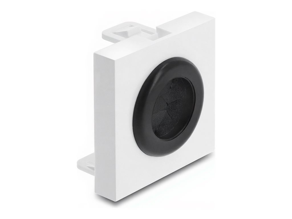 [91074] Delock Easy 45 - Einrastmodul - Kabeldurchführung