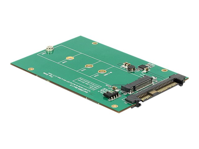 Delock Laufwerksschachtadapter - 2.5" to M.2 (6.4 cm to M.2)