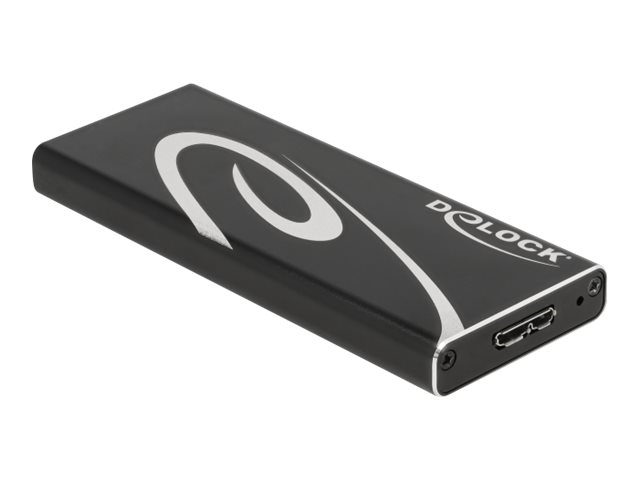 [42007] Delock Speichergehäuse - M.2 - 1 Sender/Kanal - M.2 Card - USB 3.2 (Gen 2)