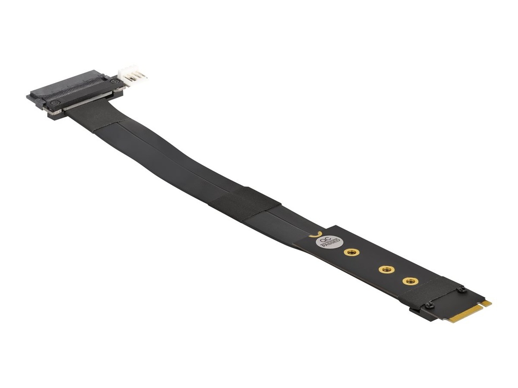 Delock Schnittstellenadapter - U.2 NVMe - M.2