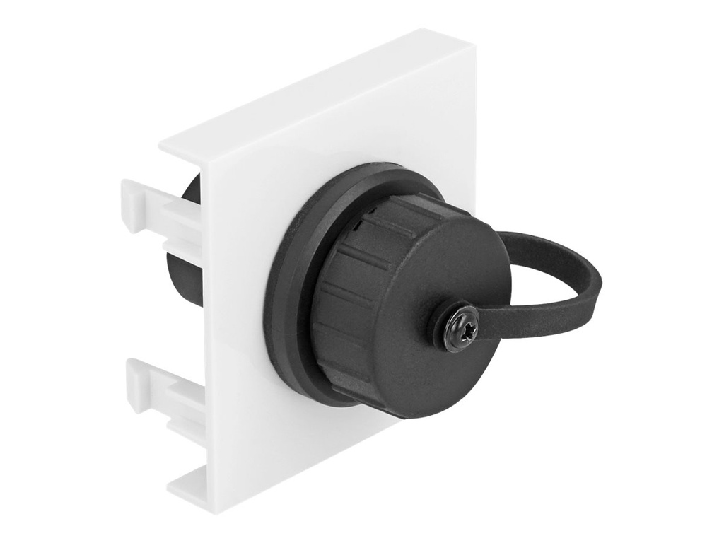 Delock Easy 45 - Einrastmodul - SuperSpeed 5 Gbps (3.2 Gen 1)