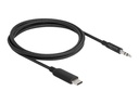 Delock Audiokabel - 24 pin USB-C männlich zu