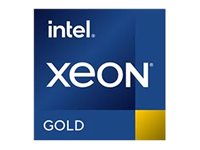 Dell Intel Xeon Gold 6526Y - 2.9 GHz - 16 Kerne - 32 Threads