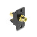 Delock Panel Mount Cinch Buchse zu vergoldet gelb schwarz
