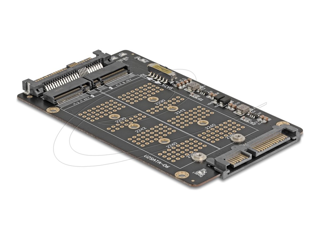 Delock Laufwerksschachtadapter - M.2 - 2.5" to M.2 (6.4 cm to M.2)