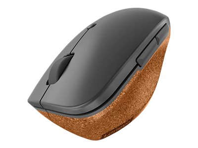 Lenovo Go - Maus - ergonomisch - Für Rechtshänder - optisch blau - 6 Tasten - kabellos - 2.4 GHz - kabelloser Empfänger (USB)