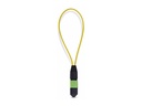 StarTech.com Startech - Loopback-Adapter - TAA-konform - MPO-12 Single-Mode (W)