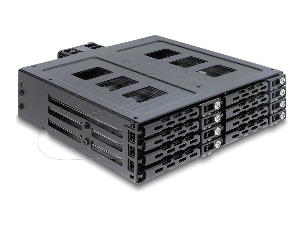 Delock Mobiles Speicher-Rack - mit Schloss - 2.5" (6.4 cm)