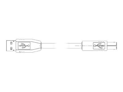 Zebra USB-Kabel - USB (M) zu USB Typ B (M)