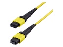 StarTech.com Startech - Patch-Kabel - MTP/MPO-12 Single-Mode (W)