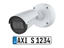 Axis P14 Series P1485-LE - Netzwerk-Überwachungskamera - Kugel - Außenbereich - wetterfest - Farbe (Tag&Nacht)