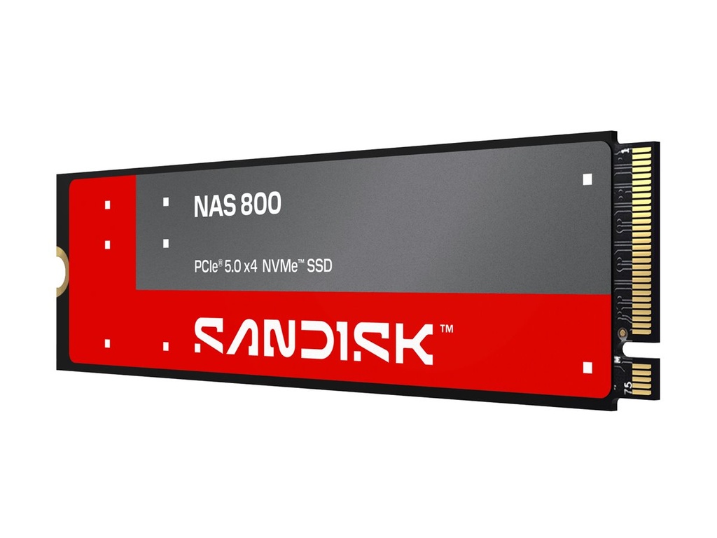 [SDSNP2960GAN-000E0] SanDisk NAS 800 - SSD - verschlüsselt - 960 GB - intern - M.2 2280 S3-M (M.2 2280 S3-M)