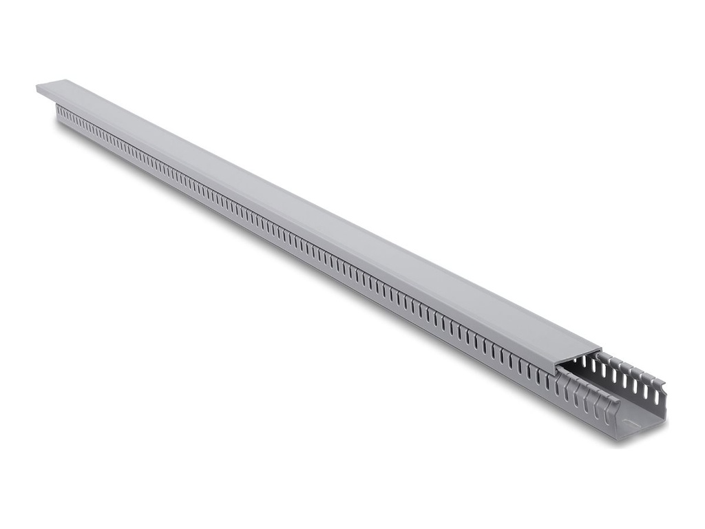[22130] Delock Kabelkanal - 40 x 30 mm - 1 m - Grau