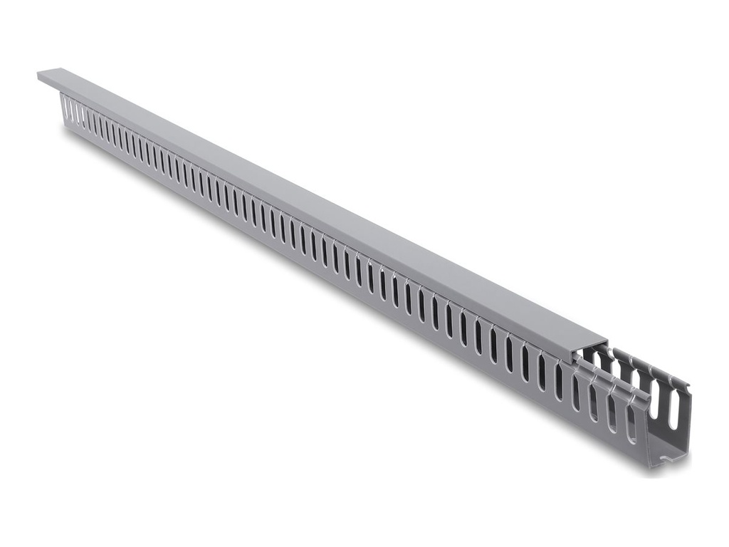 [22139] Delock Kabelkanal - 30 x 50 mm - 1 m - Grau