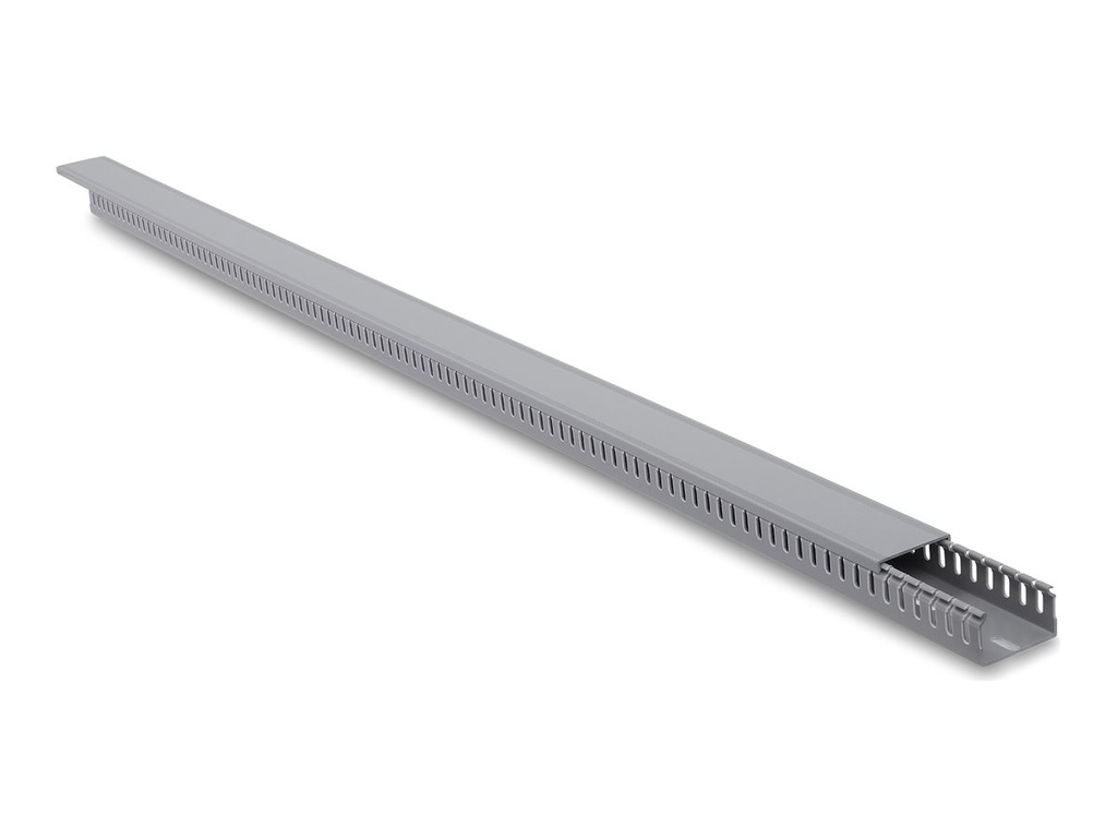 [22128] Delock Kabelkanal - 40 x 25 mm - 1 m - Grau
