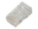 Assmann Netzwerkanschluss - RJ-45 (M) - ungeschirmt