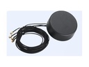Zebra Antenne - Navigation, Mobiltelefon