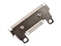 HONEYWELL 300 dpi - Druckkopf - für Intermec