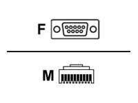 Zebra Kabel seriell - DB-9 (W) gerade zu RJ-50 (M)