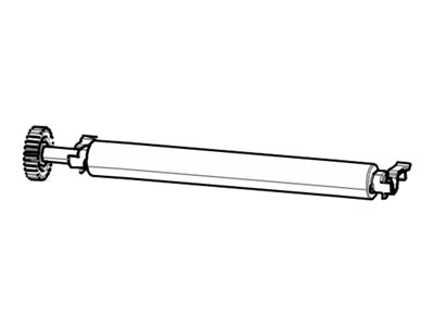 Zebra Plattenwalze 300 dpi