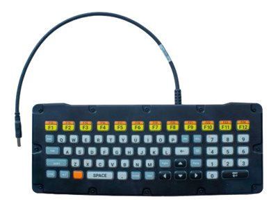 Zebra Tastatur - hinterleuchtet - USB - QWERTY