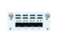 Sophos FleXi Port - Erweiterungsmodul - 10 Gigabit