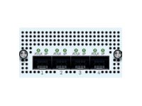 Sophos FleXi Port - Erweiterungsmodul - 10 Gigabit