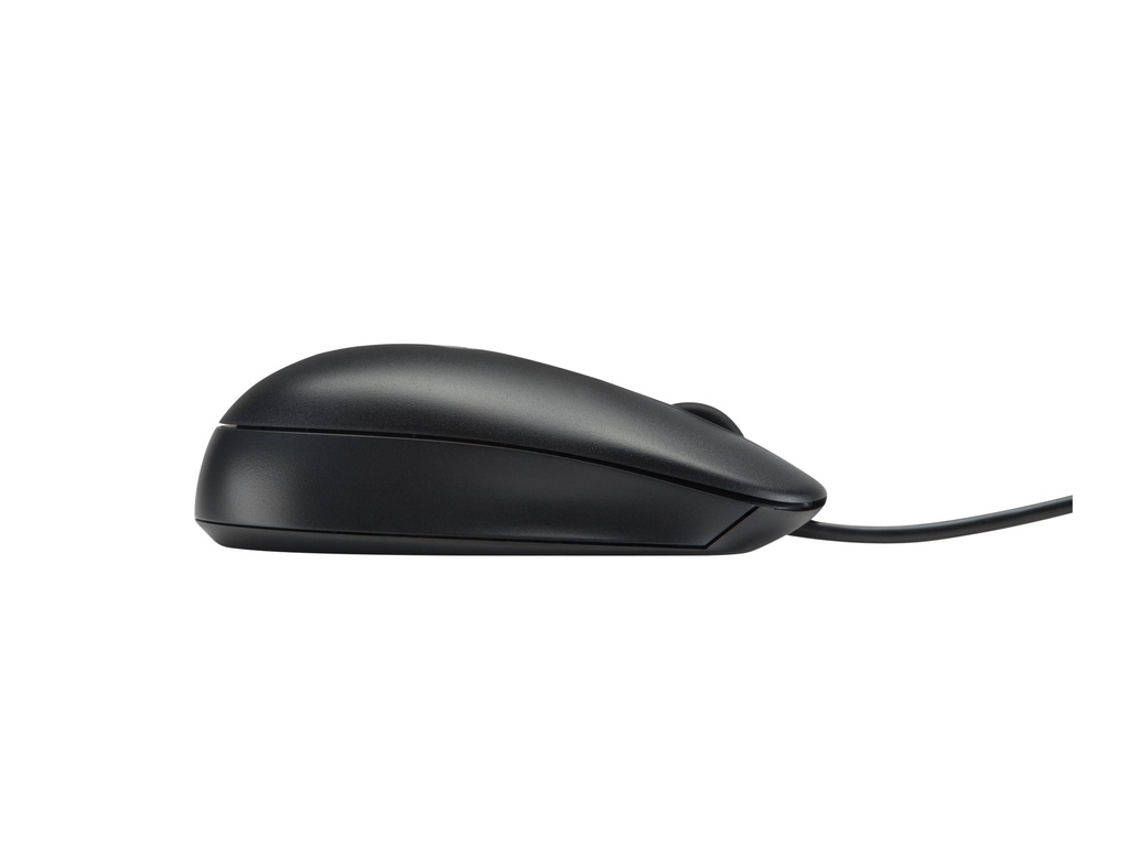 HP  Maus - optisch - kabelgebunden - USB - für