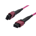 [S216785] Synergy 21 LWL-MTP -Female Patchkabel OM4 LowLoss ELite 12 Faser Typ B crossed - Kabel - Netzwerk