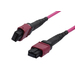 [S216792] Synergy 21 LWL-MTP -Female Patchkabel OM4 LowLoss ELite 12 Faser Typ B crossed - Kabel - Netzwerk