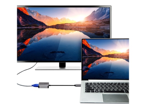[UC3002A] ATEN UC3002A - Videoadapter - USB-C (M) zu HD-15 (VGA)