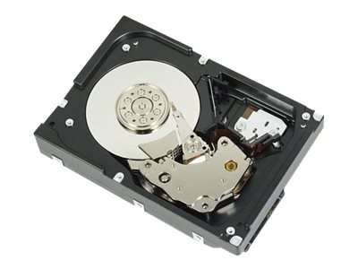 [400-AUPW] Dell  Festplatte - 1 TB - intern - 3.5" (8.9 cm)