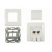 [S216330] Synergy 21 Keystone Modulträger UP Dosen für 2xTP-Modul Reinweiss