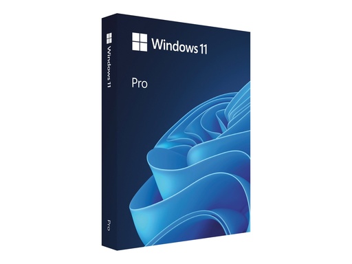 [FQC-10552] Microsoft Windows 11 Pro - Lizenz - 1 Lizenz - OEM - DVD