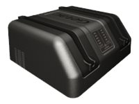 [GCMCE7] GETAC Dual bay - Batterieladegerät - Ausgangsanschlüsse: