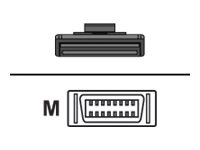 [9-03729-01] Quantum Externes SAS-Kabel - 4x Shielded Mini MultiLane SAS (SFF-8088)