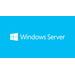 [P73-07701] Microsoft Windows Server 2019 Standard - Lizenz