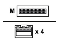 [7Z57A03565] Lenovo Breakout - 100GBase-CU Kabel zur direkten Befestigung