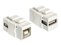 [86320] Delock Modularer Einschub (Kopplung) - USB-Typ
