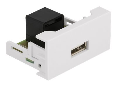 [81344] Delock Easy 45 - Einrastmodul - USB - 1 Modul