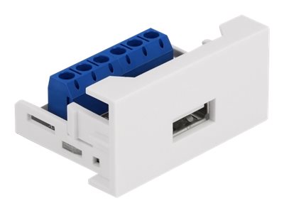 [81343] Delock Easy 45 - Einrastmodul - USB - 1 Modul