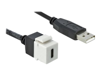 [86382] Delock Modulare Eingabe - USB Typ C - weiß