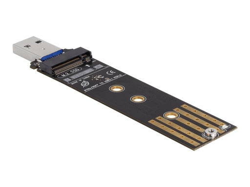 [64197] Delock Schnittstellenadapter - M.2 - M.2 Card (PCIe NVMe & SATA)