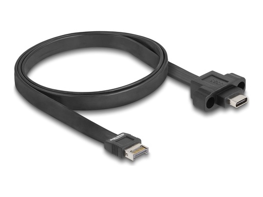 [85760] Delock USB-Kabel - 20-poliger USB Typ E (M)
