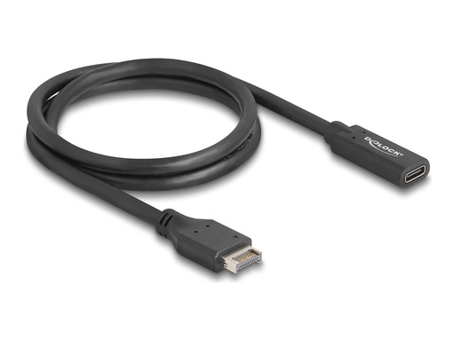 [85666] Delock USB-Kabel - 20-poliger USB Typ E (M)