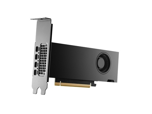 [8D6B8AA] HP NVIDIA RTX - Grafikkarte - NVIDIA RTX 2000 Ada - Grafikkarte - PCI