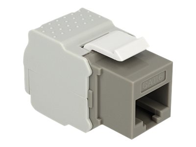 [86342] Delock Modulare Eingabe - CAT 6 - UTP - RJ-45